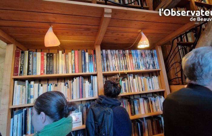 Los 13.000 libros de la biblioteca Patrick-Ansar iluminados por las luminarias de Marion