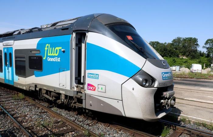 No habrá trenes TER directos entre París y el valle del Marne durante al menos dos semanas.