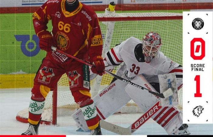 Un fin de semana perfecto para los Leones – Lausanne HC