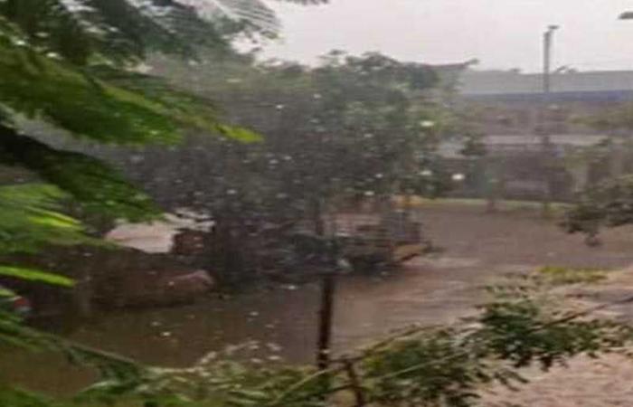 IMD emite alerta amarilla para siete distritos de Kerala