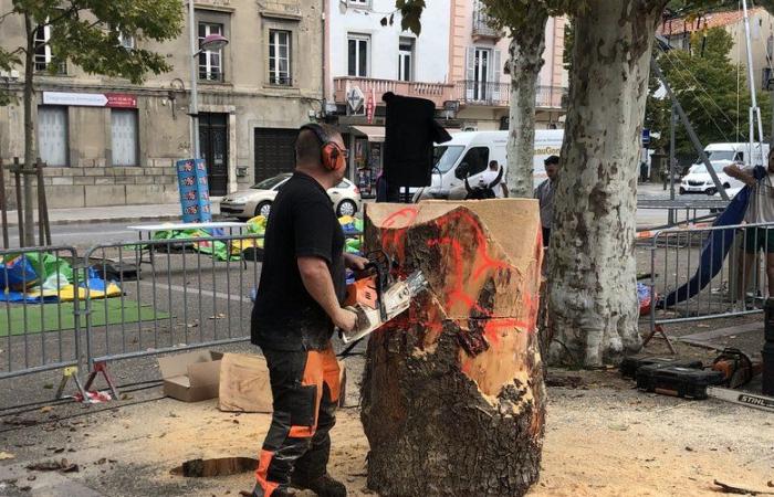 “Puedo ver cosas dentro de la madera en tres dimensiones”, el doble campeón francés de escultura en madera en la Foire de la Barguillère