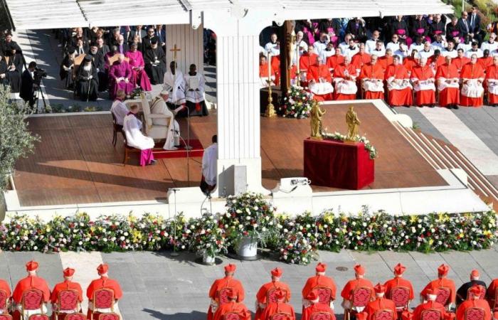 Carta del Papa Francisco a los futuros cardenales