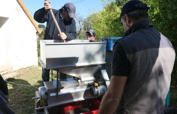 Famoso por su recolección de sal, este pueblo también realiza la recolección.