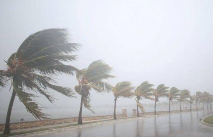 Tormentas fuertes localmente con granizo y ráfagas de viento hasta el lunes