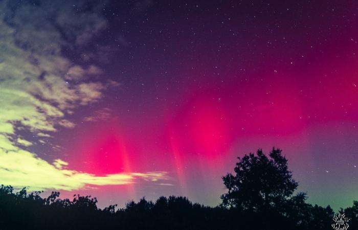 La magnífica aurora boreal iluminó el cielo de Gironda