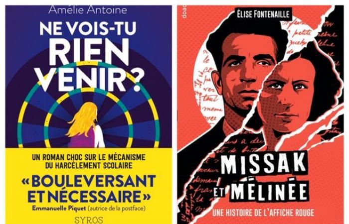 La Feria del Libro de Brive 2024 premia un libro sobre el acoso escolar y otro sobre la Resistencia