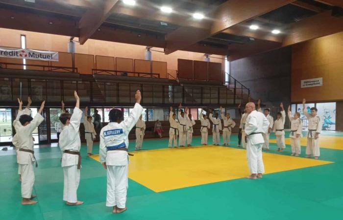 Judo: ¡Essonne es un éxito!