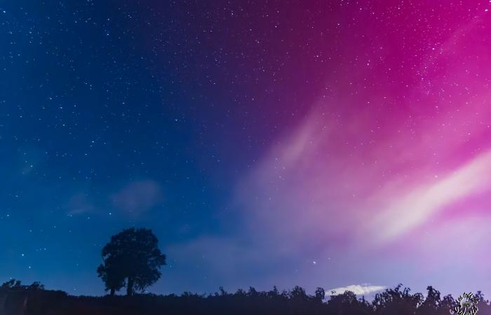 La magnífica aurora boreal iluminó el cielo de Gironda