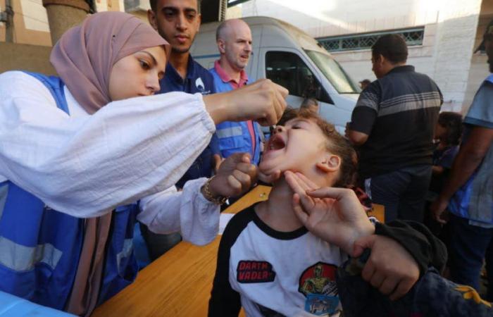 Gaza. Lanzada una segunda campaña de vacunación infantil contra la polio