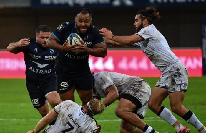 Top 14 – Montpellier: Billy Vunipola, tamaño del patrón