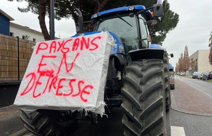 Varias acciones de los agricultores previstas en Alto Garona: ¿qué debemos esperar?