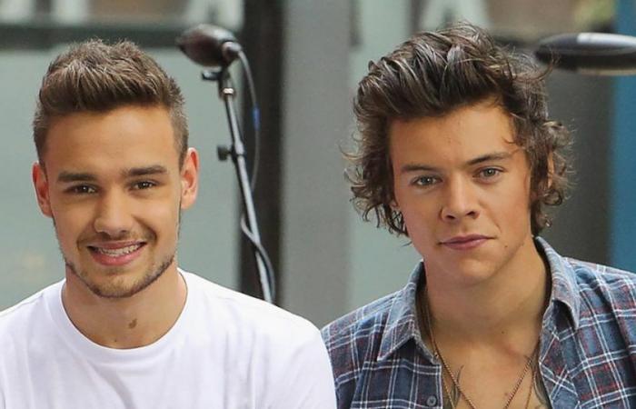 La amistad de Harry Styles y Liam Payne a lo largo de los años: Cronología