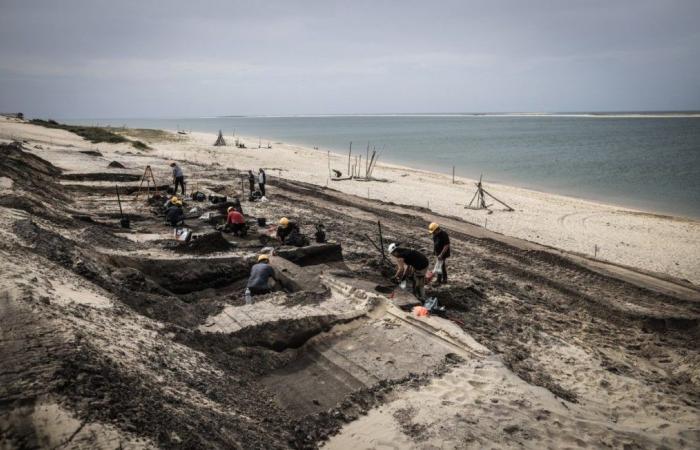 Nuevas excavaciones arqueológicas al pie de la duna de Pilat, ante los azotes de la erosión