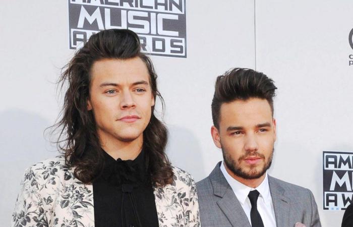 La amistad de Harry Styles y Liam Payne a lo largo de los años: Cronología