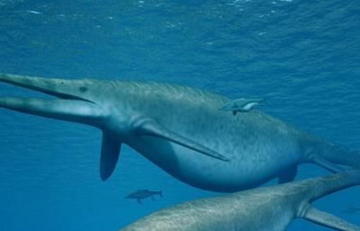 Este “monstruo marino” prehistórico puede ser el animal más grande de la historia