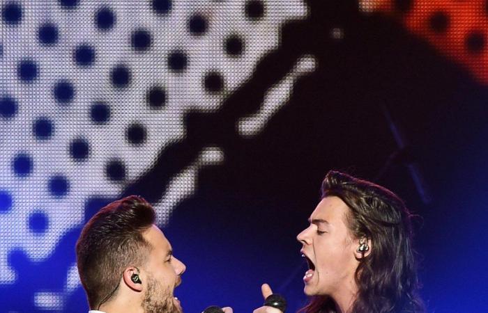 La amistad de Harry Styles y Liam Payne a lo largo de los años: Cronología