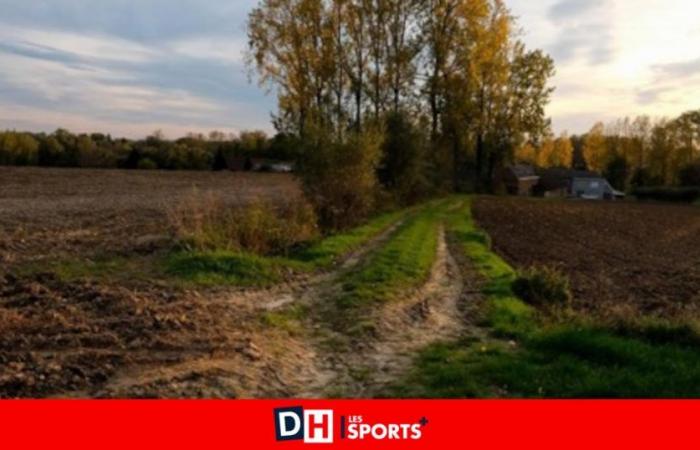 Hasta 24 grados este miércoles antes de que vuelvan las lluvias, “se producirán chubascos que en ocasiones pueden ser intensos”