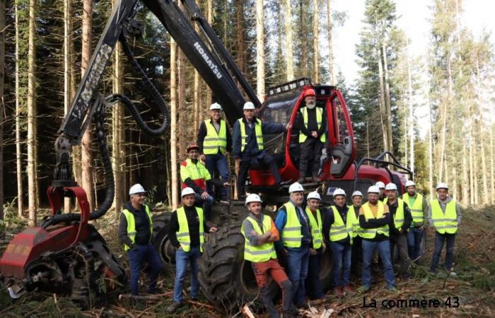 El plan maderero-forestal de la Región puesto en práctica con empresas de trabajos forestales