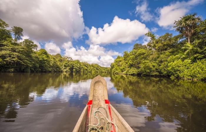 Guyana, esta Amazonia francesa poco conocida