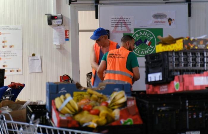 el Banco de Alimentos del Gard abre sus puertas – Actualidad – Nîmes – Gard