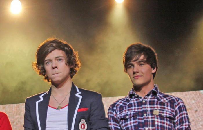 La amistad de Harry Styles y Liam Payne a lo largo de los años: Cronología