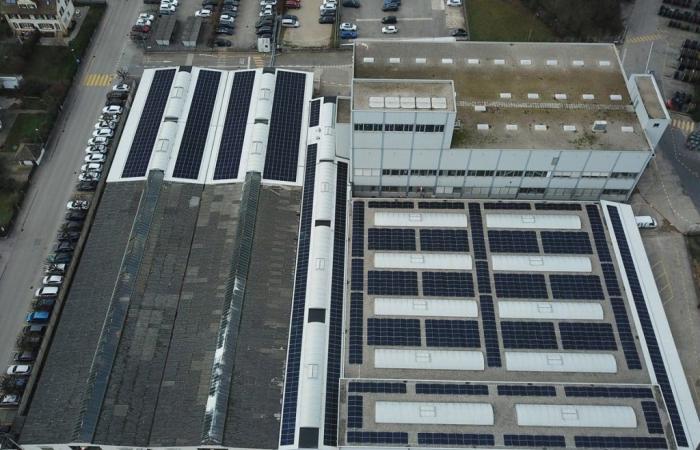 Puesta en marcha de un parque solar en Nexans