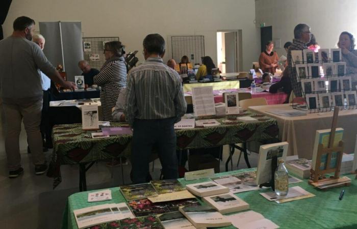 2da Feria del Libro de la Biblioteca Libre de Lire, ¡2do éxito! – El pequeño diario