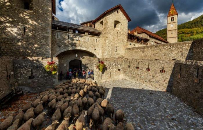 Alpes de Alta Provenza. La fiesta de la trashumancia los días 19 y 20 de octubre en Colmars-les-Alpes