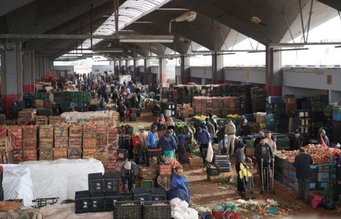 Aquí están los precios mayoristas de frutas, verduras y carnes de la semana