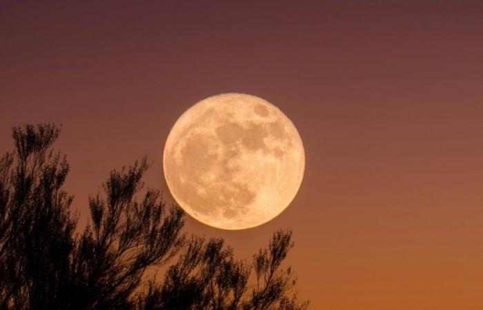 La Luna Llena del 17 de octubre será la más fascinante del año