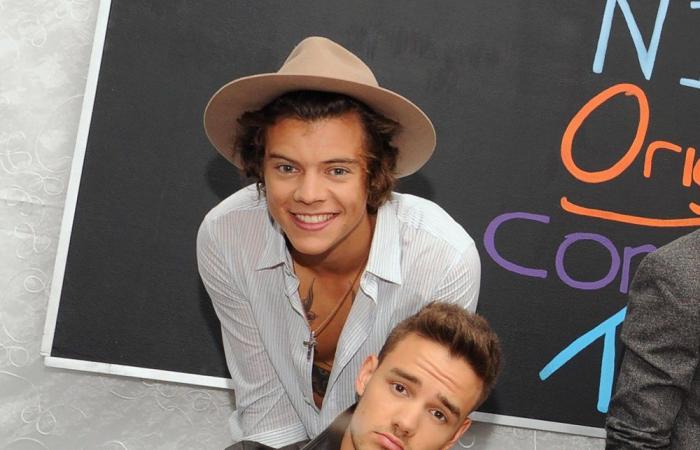 La amistad de Harry Styles y Liam Payne a lo largo de los años: Cronología