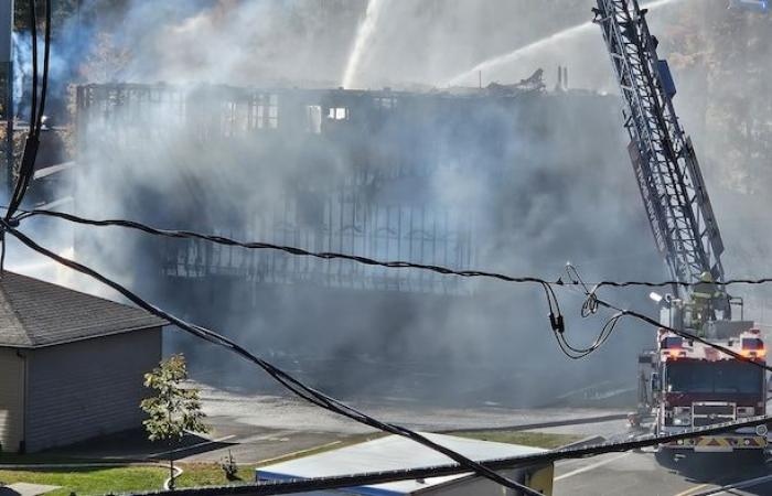 Madre muere en incendio