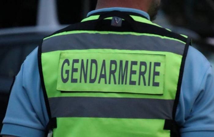 Inquietante desaparición de un hombre de 70 años en Vendée, los gendarmes lanzan una convocatoria de testigos