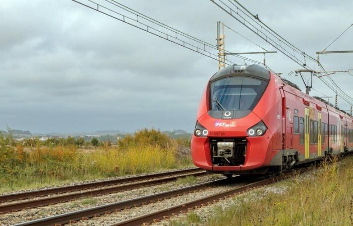 El tráfico ferroviario se ve afectado en Occitania, las líneas de la SNCF paralizadas… se esperan perturbaciones este jueves