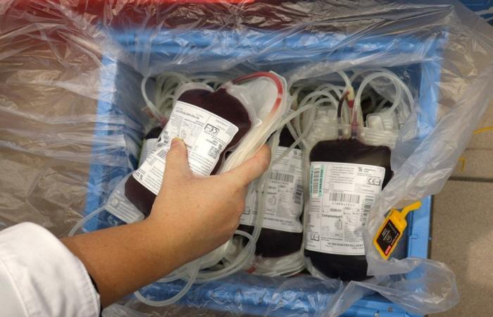 Después de la muestra de sangre en Orne, ¿cuál es el recorrido de su bolsa de sangre?