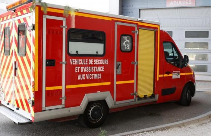 Un hombre muere tras la caída de un árbol en el distrito 19