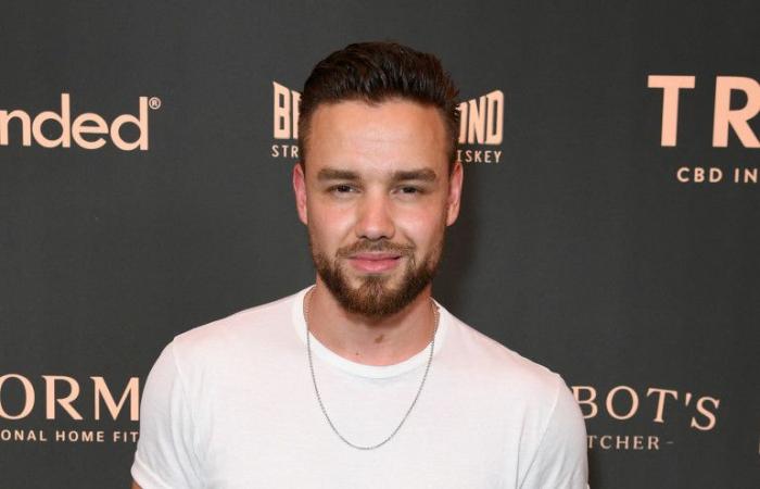 Pop de luto tras la trágica muerte del cantante de One Direction, Liam Payne