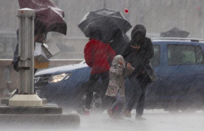 Aviso de tormenta, cierre de la sede de Cora, interrupciones de la SNCF… Noticias al mediodía en Île-de-France