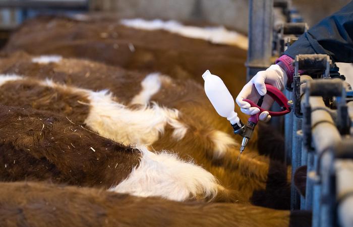 Nestlé rebaja su objetivo de crecimiento ante la débil demanda de los consumidores