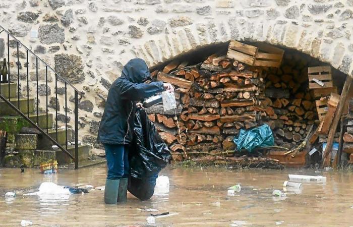 Vacas y coches arrasados, puentes destruidos, supermercados bajo el agua: imágenes de las inundaciones en el sureste de Francia