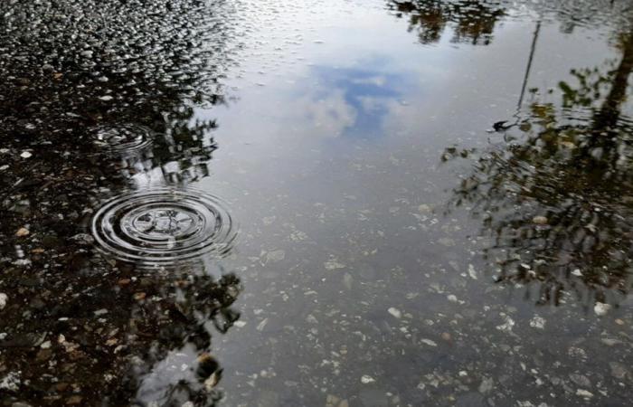 Lluvias e inundaciones. Météo France pone Tarn-et-Garonne en alerta naranja