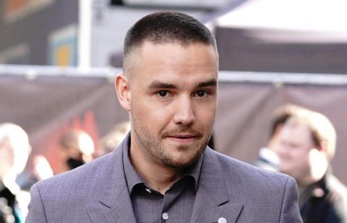 Muerte de Liam Payne: la familia del cantante y su exnovia rompen el silencio