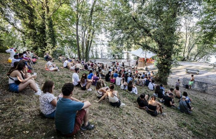 La ecología en la cultura según Maxime Noly: el Woodstower Festival, un nuevo modelo de éxito