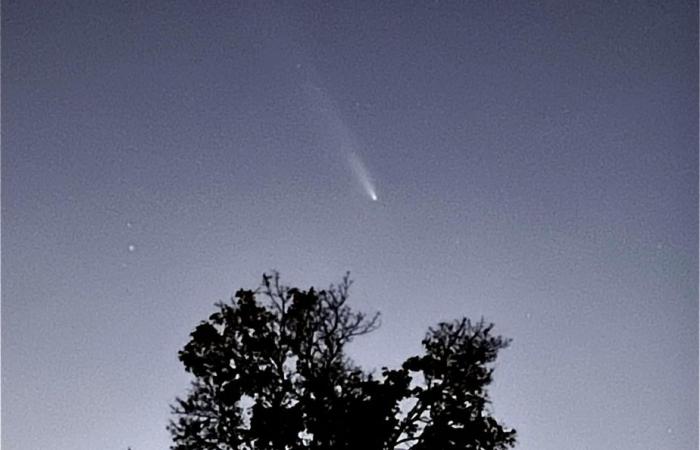 Un cometa visible esta semana