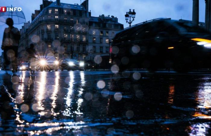 París: un hombre muere tras la caída de un árbol en el distrito 19 y dos niños resultan heridos