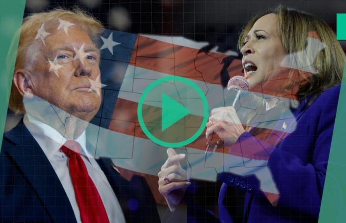 Entre Trump y Harris, la lealtad de los principales votantes en cuestión