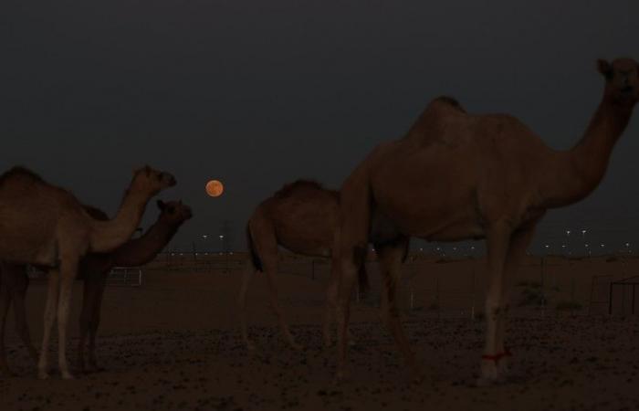 Las imágenes más bellas de la superluna de todo el mundo.