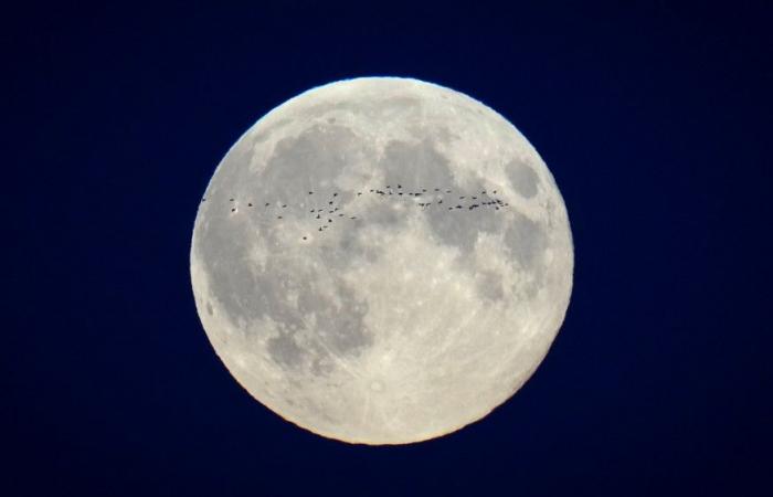 Las imágenes más bellas de la superluna de todo el mundo.