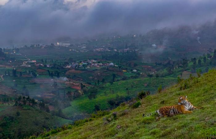 las fotos de naturaleza más bellas y premiadas