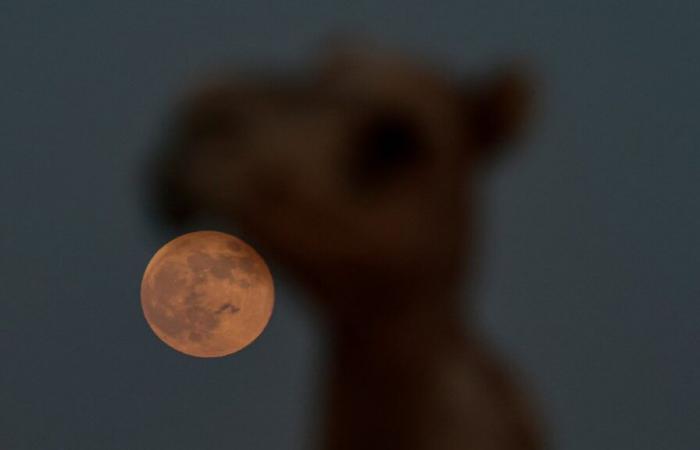 Las imágenes más bellas de la superluna de todo el mundo.